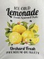 Tee shirt blanc "Silia" imprimé citrons et lemonade TU