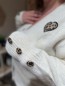 Gilet doux boutons et coeur léopard beige Juliana Gilet doux boutons et coeur léopard beige Juliana